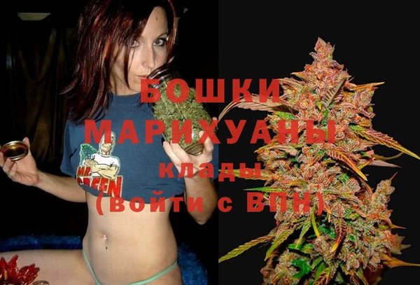 бошки Медвежьегорск