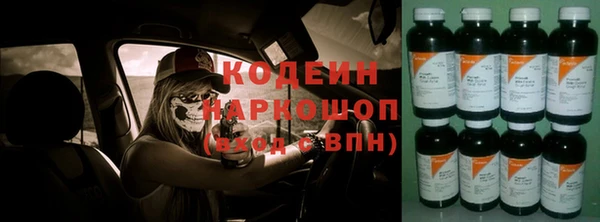 индика Михайловка