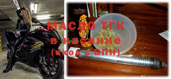 индика Михайлов