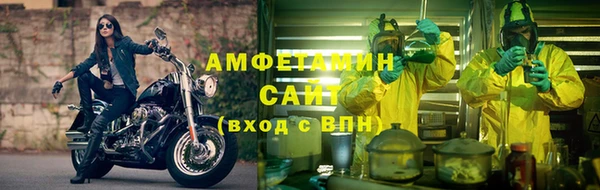 индика Михайловка