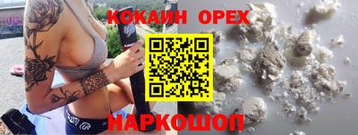 стафф Гусев