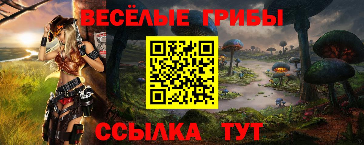 Комсомольск-на-Амуре  Псилоцибиновые грибы GOLDEN TEACHER  даркнет сайт  Вход с VPN 