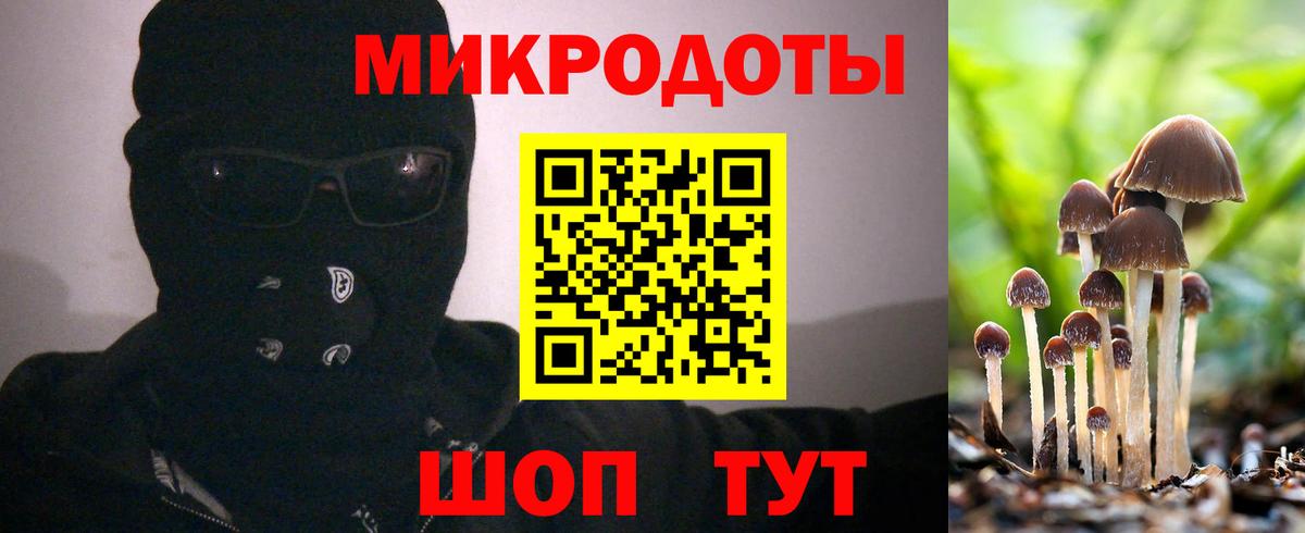 Псилоцибиновые грибы прущие грибы  закладка  Комсомольск-на-Амуре  Галлюциногенные грибы MAGIC MUSHROOMS 